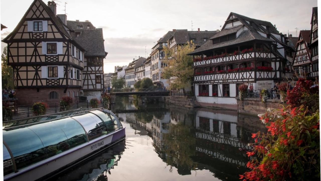 Gite Terre D'Helene 4 A 5 Pers Proche Strasbourg 42 M2, 3 Etoiles, Wifi, Paisible, Jardin, Proche Commerces,16 Atouts, Animaux Acceptes Berstett Exterior foto